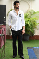 MAJESTIC MOUNTAIN GOAT