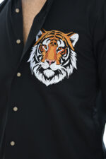 REGAL TIGER - Image 4